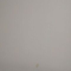 トゥルースリーパー プレミアム(中古)＆羽毛布団(美品)～8/20迄に取りに来て下さる方、歓迎！！～☆の画像