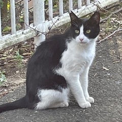 里親募集16