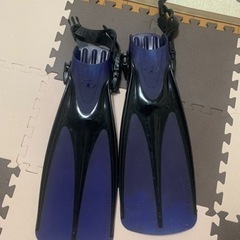 ダイビング用フィン　TUSA Lサイズの画像