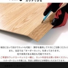 ウッドカーペット6畳江戸間の画像