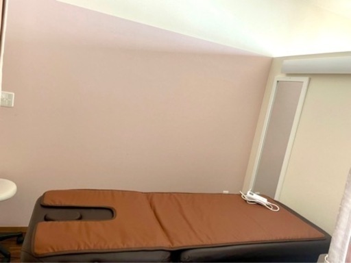 ★エステヒートマット★タイマー付 新品同様/取引終了