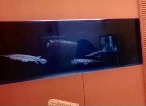 [美品] アクリルオーバーフロー水槽セット [1800×700×700h] 《引取限定》