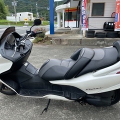 フォルツァ　早いもの勝ちの画像
