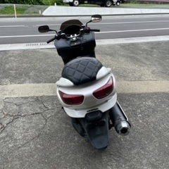 フォルツァ　早いもの勝ちの画像