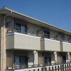 【即入社・即入寮・即日払い】倉庫内の簡単軽作業！オープニング募集！未経験大歓迎!♪の画像