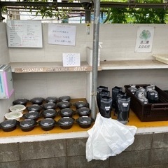 めだかの無人販売所　　次回8月21日