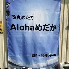 Alohaめだか夏祭り