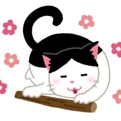 【❤️定期募集❤️】猫ちゃん用にまたたびを無料でお譲りください！