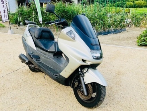 マジェスティ250　クリアレンズ　ショートスクリーン