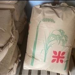 お米　玄米　30kg N o4