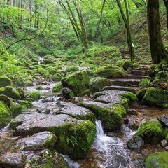 8月20(土) 夏の御岳山で涼を感に行こう♪ 