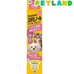 スタミノール　子犬子猫　新品未使用