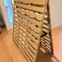 引き取り先決まりました