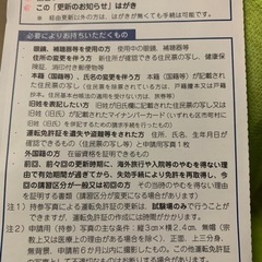 ハンディスチーマー　新品未使用の画像