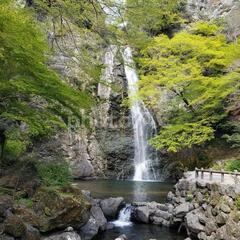 箕面自然体感コース　　体験ハイキング