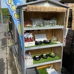メダカ無人販売