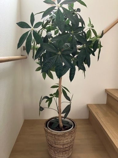 フェイク観葉植物(鉢カバー付)