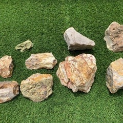 アクアリウム　レイアウト岩石の画像