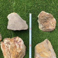 アクアリウム　レイアウト岩石の画像