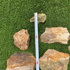 アクアリウム　レイアウト岩石の画像