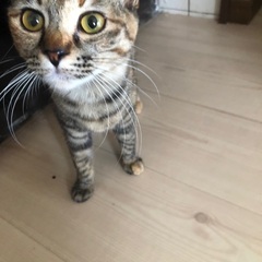 可愛がってくれる方☆
