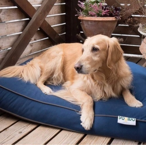 【新品】 Doggybo Midi ドギボー ミディ ネイビーブルー犬用 ビーズクッション【未使用品】