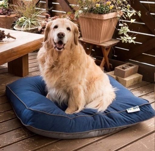 【新品】 Doggybo Midi ドギボー ミディ ネイビーブルー犬用 ビーズクッション【未使用品】