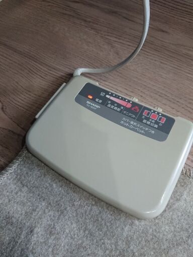 ホットカーペット①