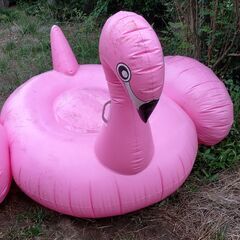 浮き具　プール　海