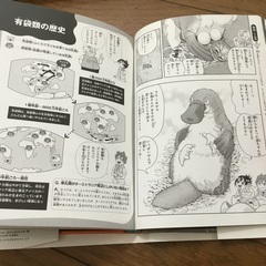 move図鑑9冊（DVDなし）の画像