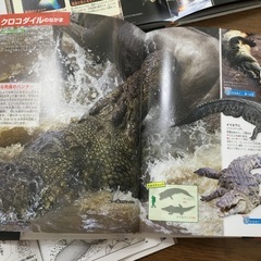 move図鑑9冊（DVDなし）の画像