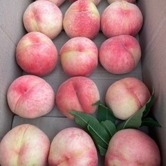 桃 大玉(受け渡し決定しました)