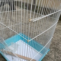 とりかご(無料)の画像