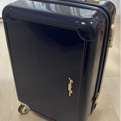 スーツケース1-2泊用 ジュエルナローズの画像