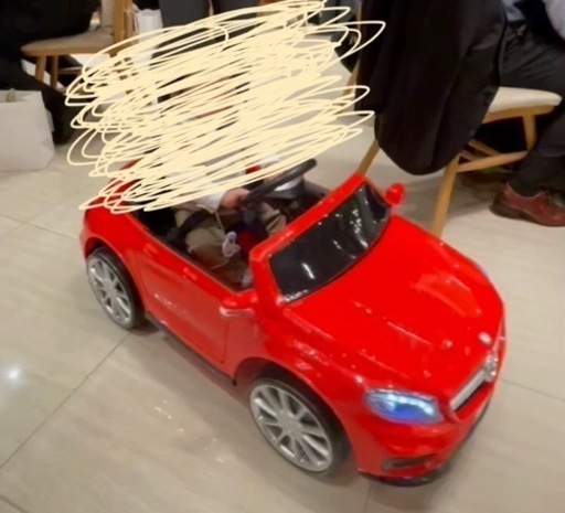 (決定) 乗用車ラジコン 子供