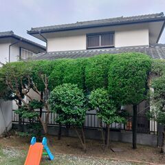 生垣の剪定・植木伐採をお考えの方、一度ご相談ください！　相談料は基本無料となります！！ − 千葉県