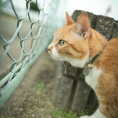 【本気で写真が好きな人】カメラ仲間募集しています。