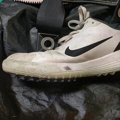 ナイキNIKE ゴルフシューズの画像