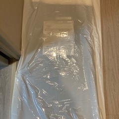 （取引調整中）新品⭐︎トゥルースリーパーごろ寝マット　1枚の画像