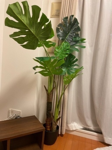 引っ越しの為、譲ります。