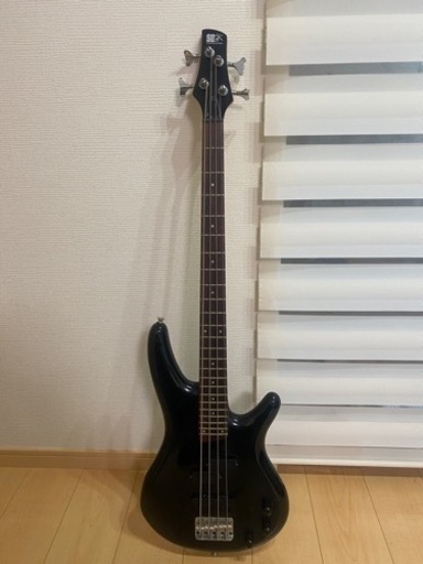 SDGR ベース4弦　アンプセット