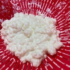生のケフィアヨーグルトを作るための生ケフィア菌です（^人^）良質...