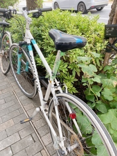 ASAHI] シェボー-H クロスバイク 自転車 (k) 渋谷の自転車の中古