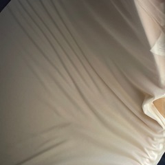 トゥルースリーパーの画像
