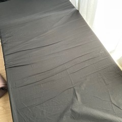 トゥルースリーパー