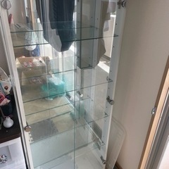 コレクションケース