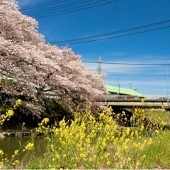 カメラ友達募集中📸 − 山口県