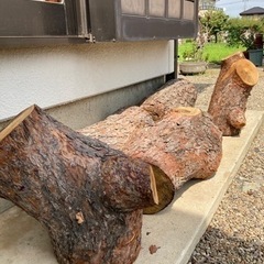 丸太あげます