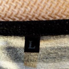 ストライプTシャツの画像