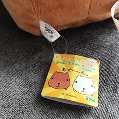 カピバラさん　ぬいぐるみ　2008年バージョンの画像